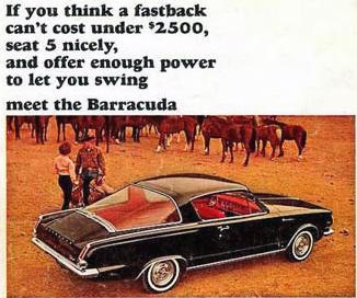 barracuda