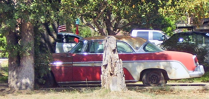 1955 DeSoto behind a tree
