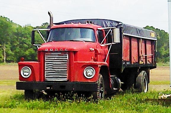 Dodge C-series medium duty farm truck