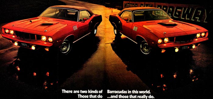 1971 Barracudas